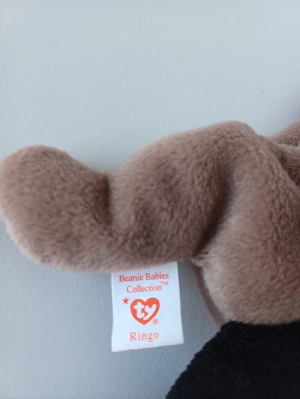 Vintage 1995 Ringo The Raccoon Ty‎ Beanie Baby 90s Toy Collectible Plush Animal
